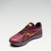 Kinvara 1 s